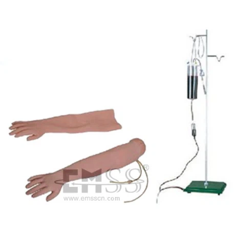 Venipunture ir intramuskulinės injekcijos rankos modelis